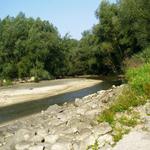 Impressionen am Donaustrand